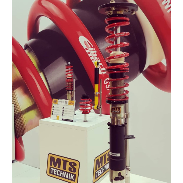 Combinés Filetés MTS Eibach BMW E36