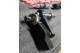 Mini kit grand angle pour BMW E8X et E9X