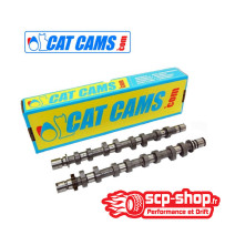 Arbres à came perf BMW E36 M50B25 CATCAMS