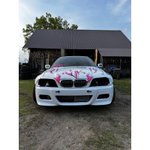 Crashbar avant BMW E46