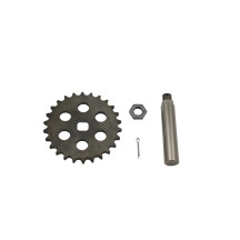 Axe et pignon pompe à huile BMW M52TU M54 | SCP SHOP