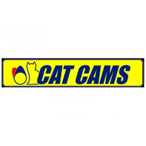 CATCAMS
